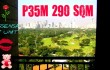 CAMERON TOWER, D UNIT at ESSENSA EAST FORBES